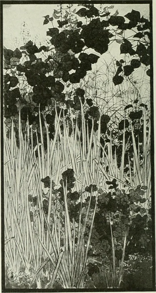 An illustration from Studio international, 1893, leaf 169