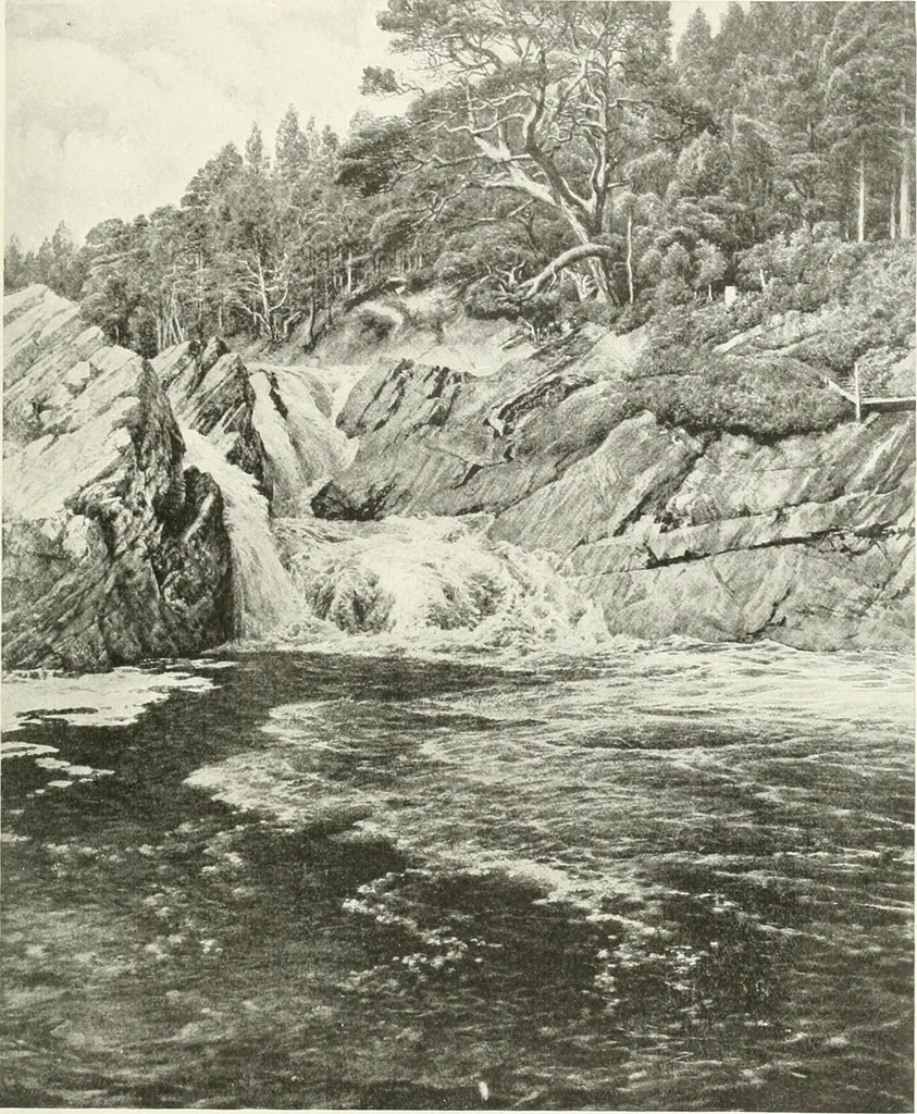 An illustration from Studio international, 1893, leaf 98