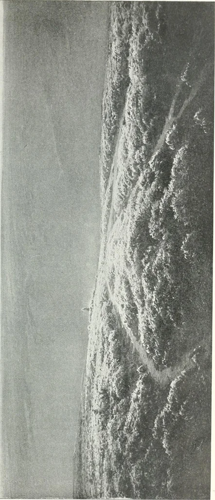 An illustration from Studio international, 1893, leaf 112