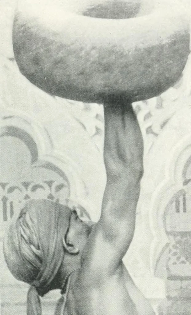 An illustration from Studio international, 1893, leaf 254
