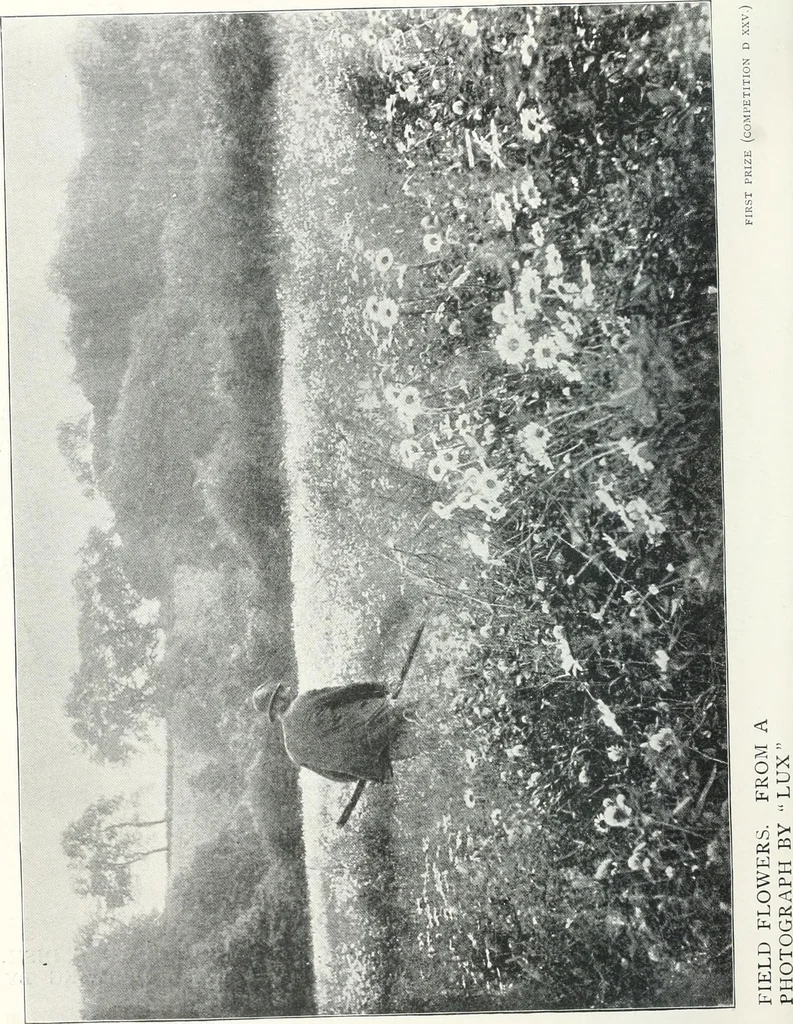 An illustration from Studio international, 1893, leaf 273