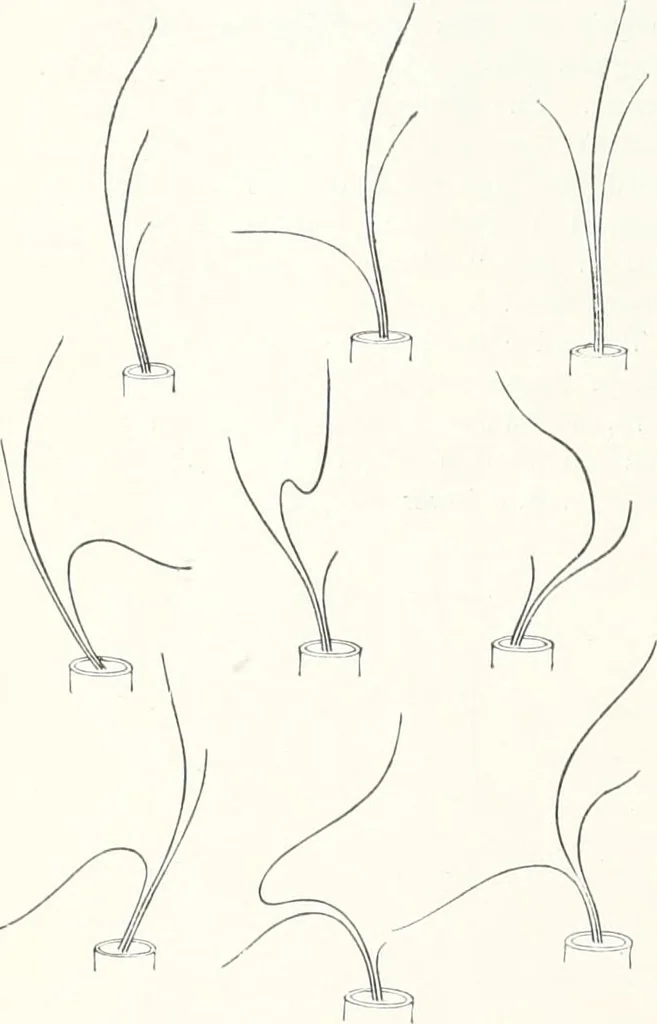 An illustration from Studio international, 1893, leaf 293
