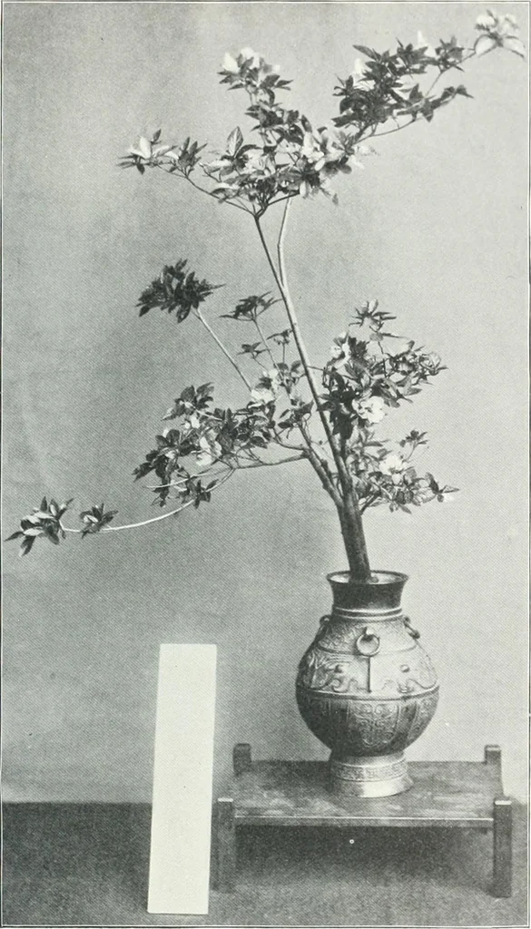 An illustration from Studio international, 1893, leaf 296