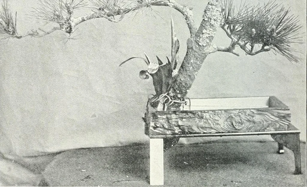 An illustration from Studio international, 1893, leaf 301