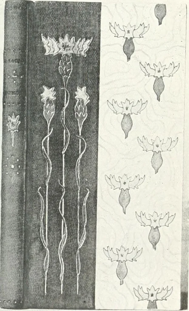 An illustration from Studio international, 1893, leaf 318