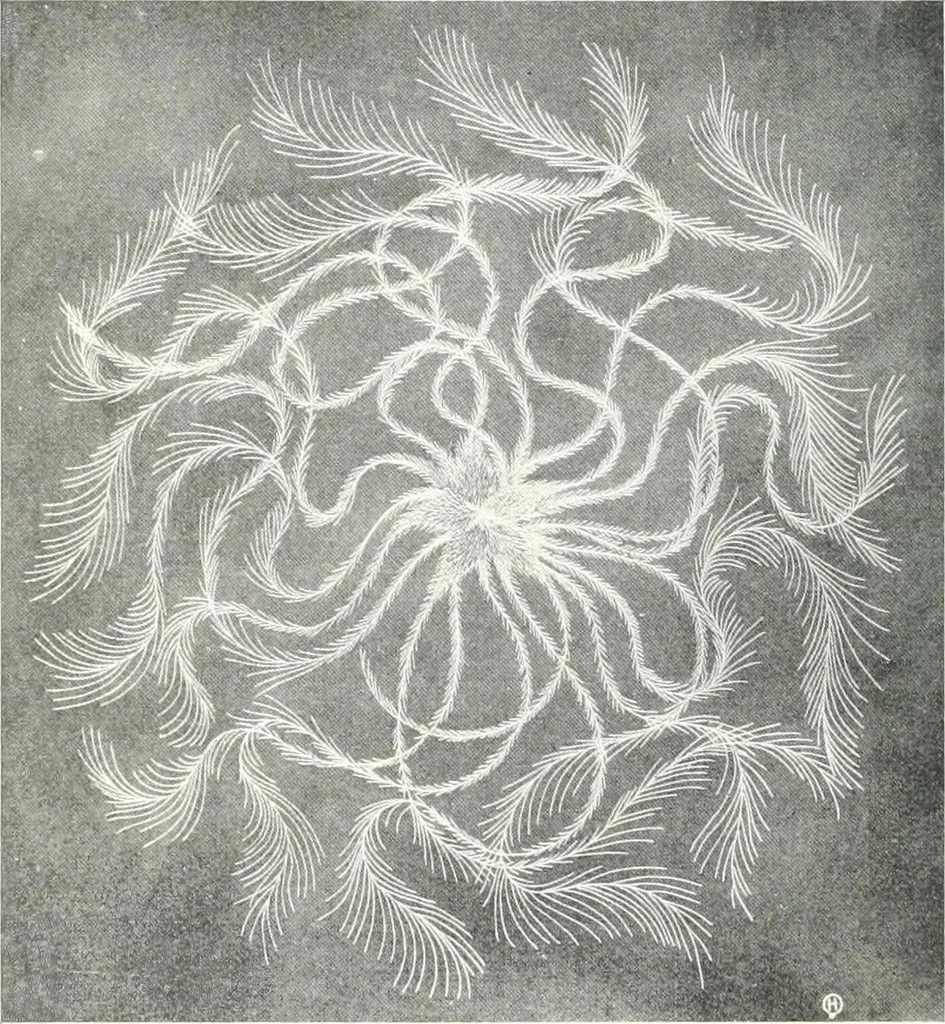 An illustration from Studio international, 1893, leaf 375