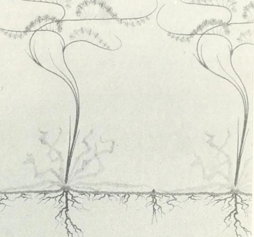 An illustration from Studio international, 1893, leaf 378