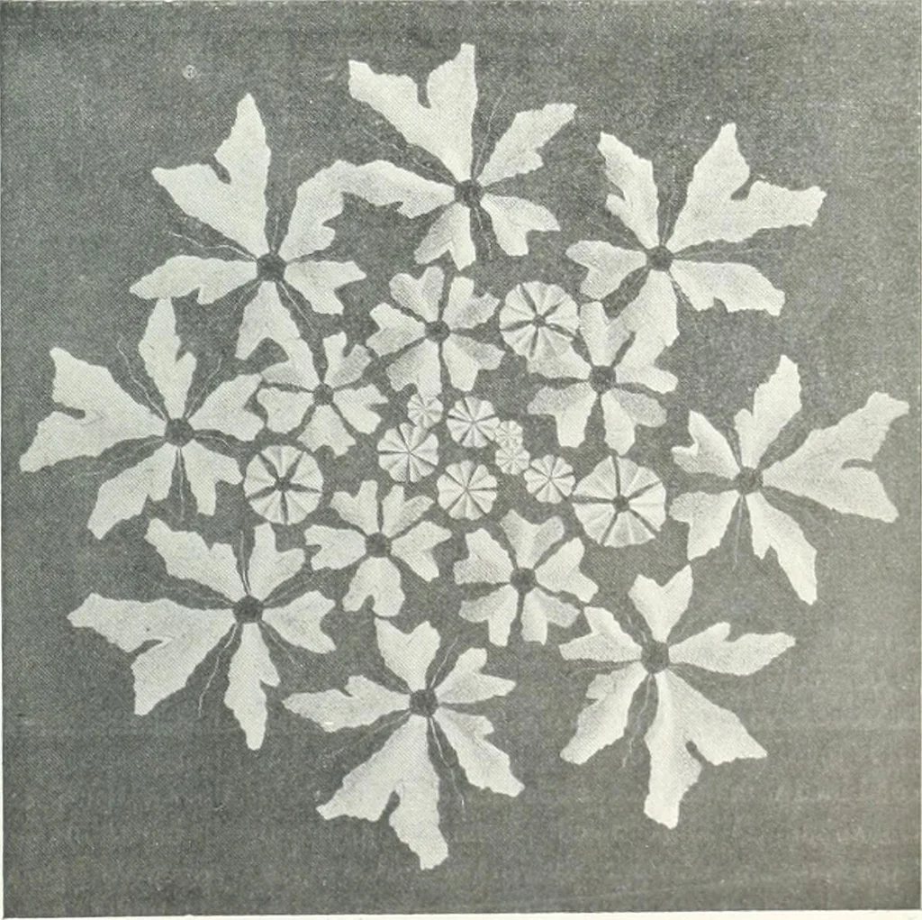 An illustration from Studio international, 1893, leaf 378