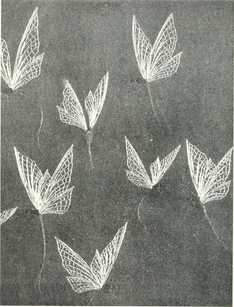 An illustration from Studio international, 1893, leaf 379