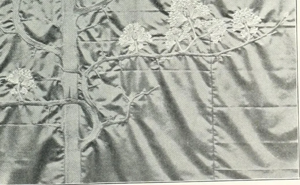 An illustration from Studio international, 1893, leaf 382