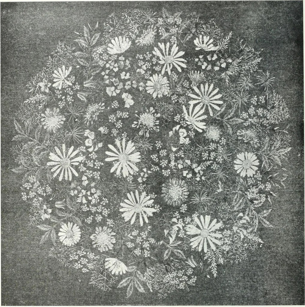 An illustration from Studio international, 1893, leaf 383