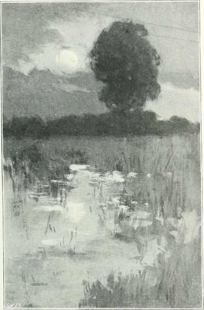 An illustration from Studio international, 1893, leaf 418
