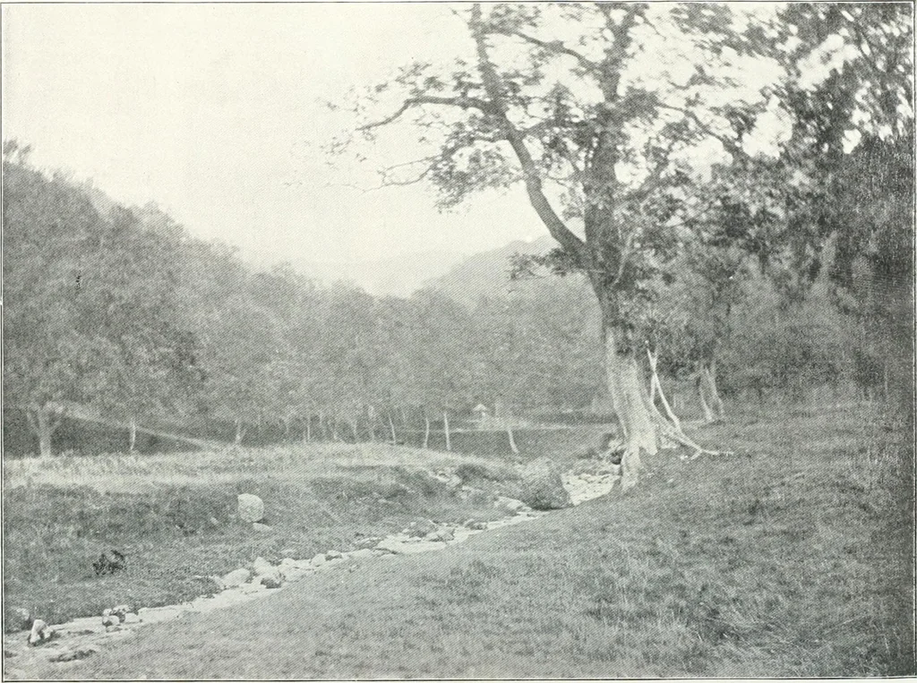An illustration from Studio international, 1893, leaf 437