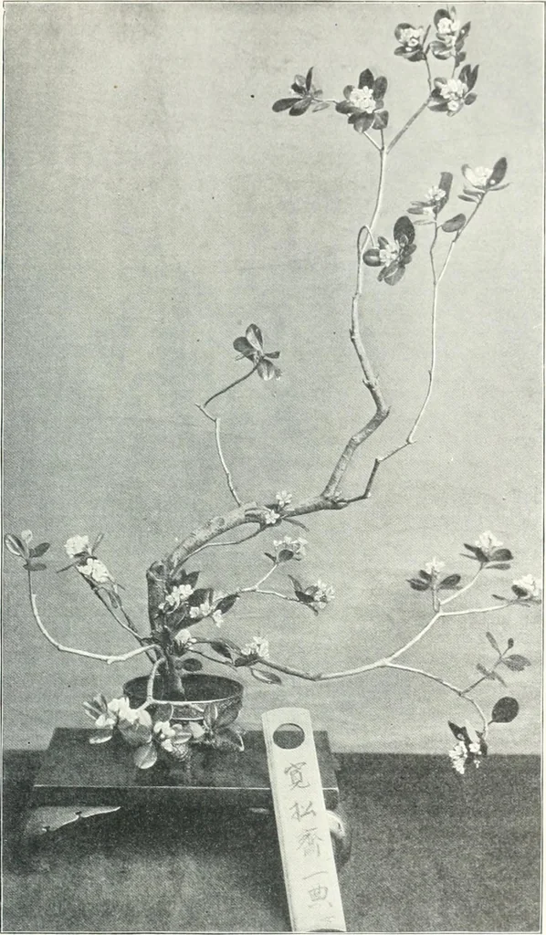 An illustration from Studio international, 1893, leaf 464