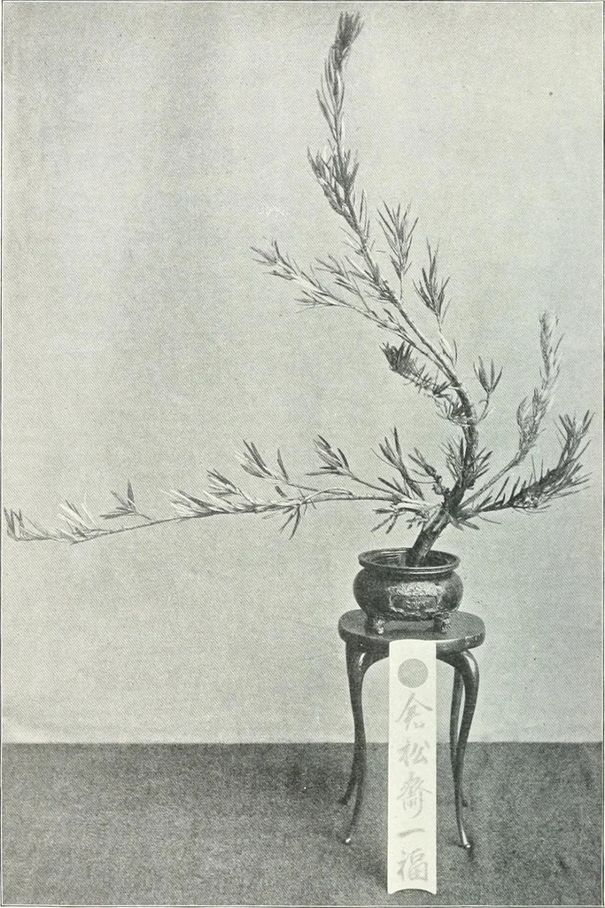 An illustration from Studio international, 1893, leaf 465