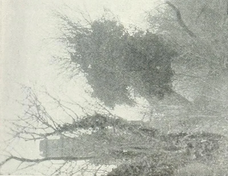 An illustration from Studio international, 1893, leaf 588