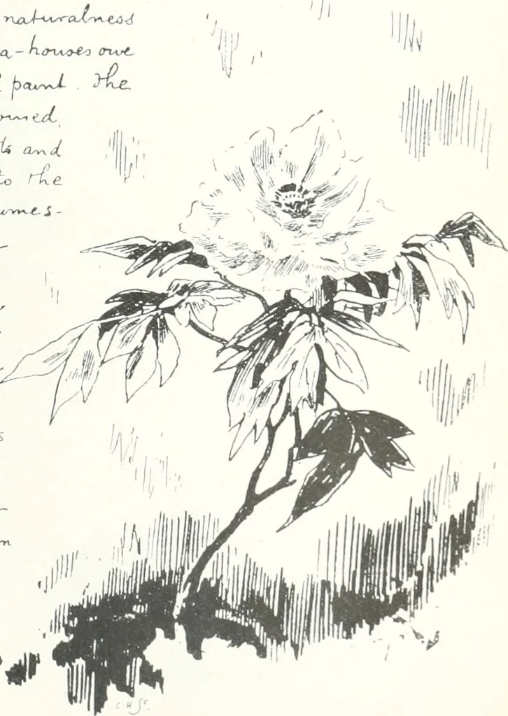An illustration from Studio international, 1893, leaf 622