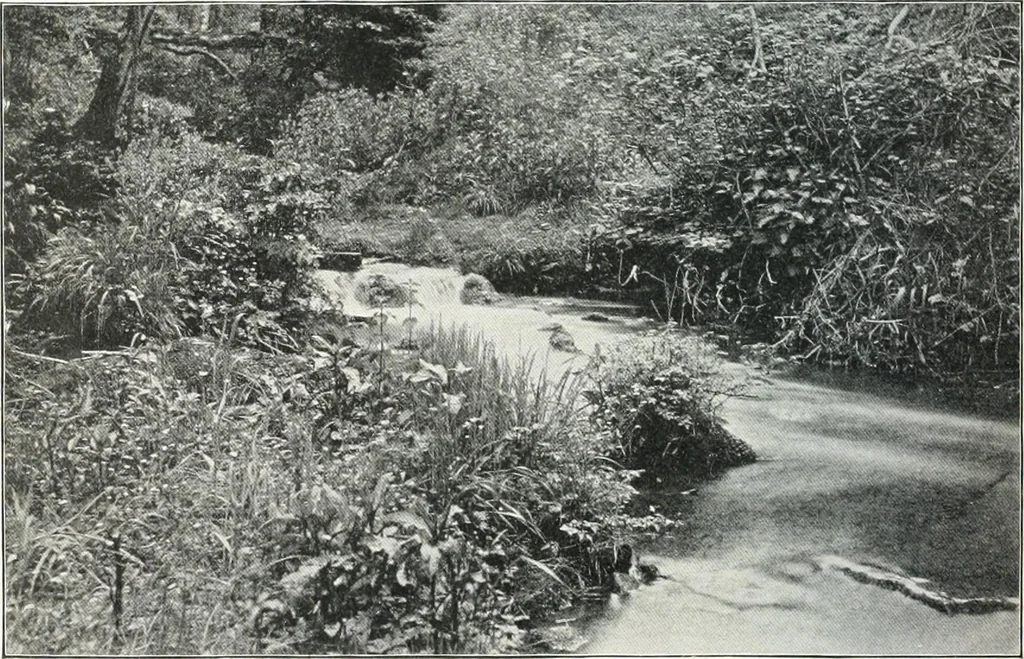 An illustration from Studio international, 1893, leaf 69