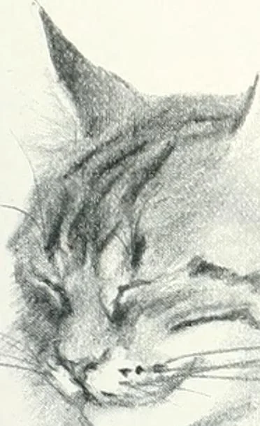 An illustration from Studio international, 1893, leaf 696