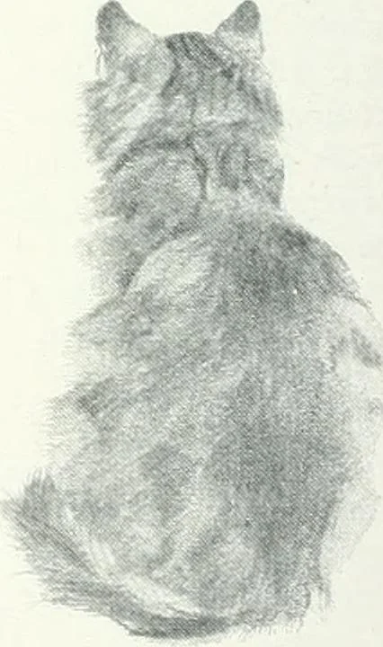 An illustration from Studio international, 1893, leaf 697