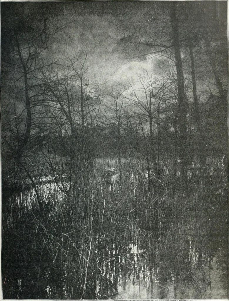 An illustration from Studio international, 1893, leaf 70