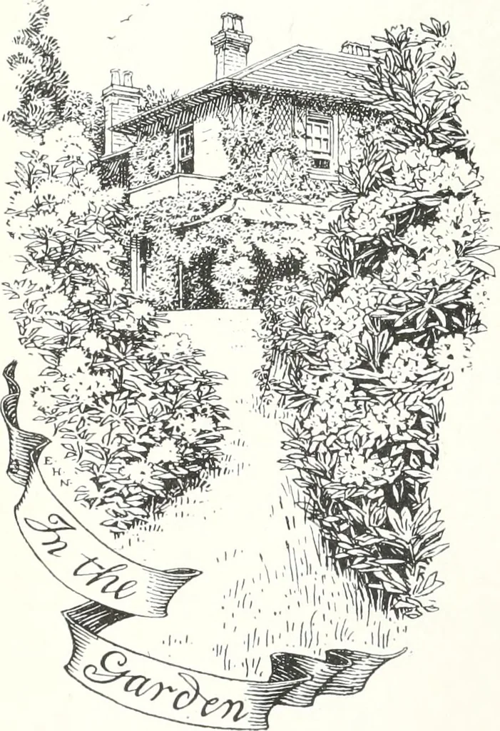 An illustration from Studio international, 1893, leaf 729