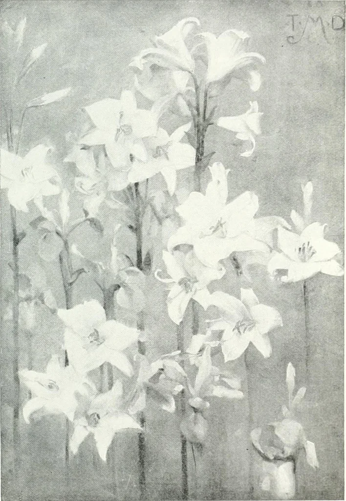 An illustration from Studio international, 1893, leaf 748