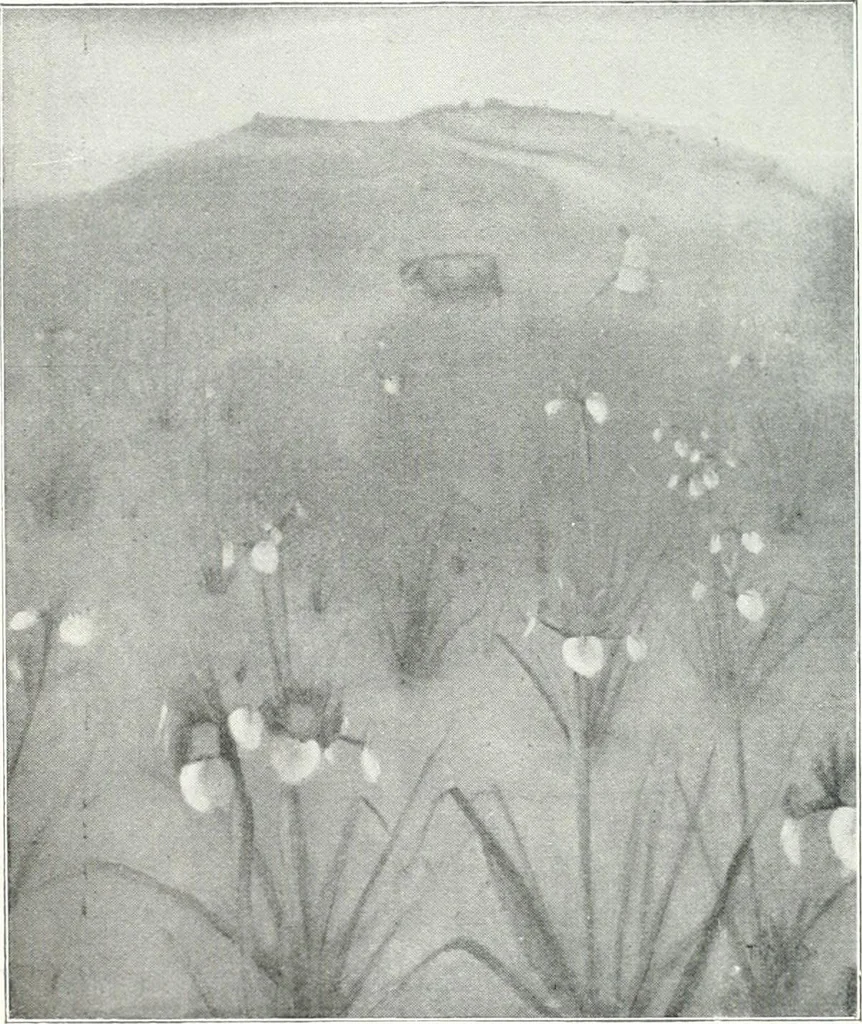 An illustration from Studio international, 1893, leaf 751