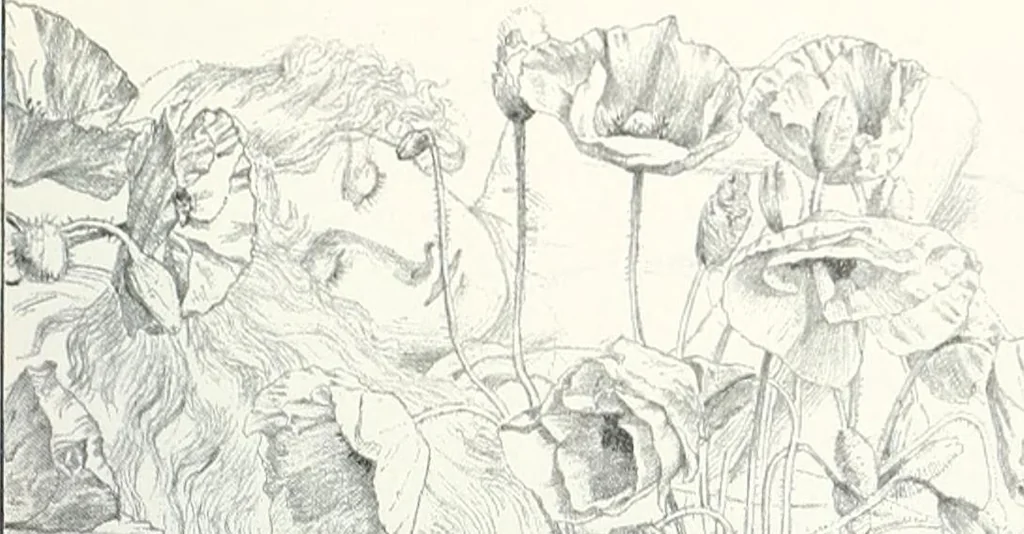 An illustration from Studio international, 1893, leaf 820