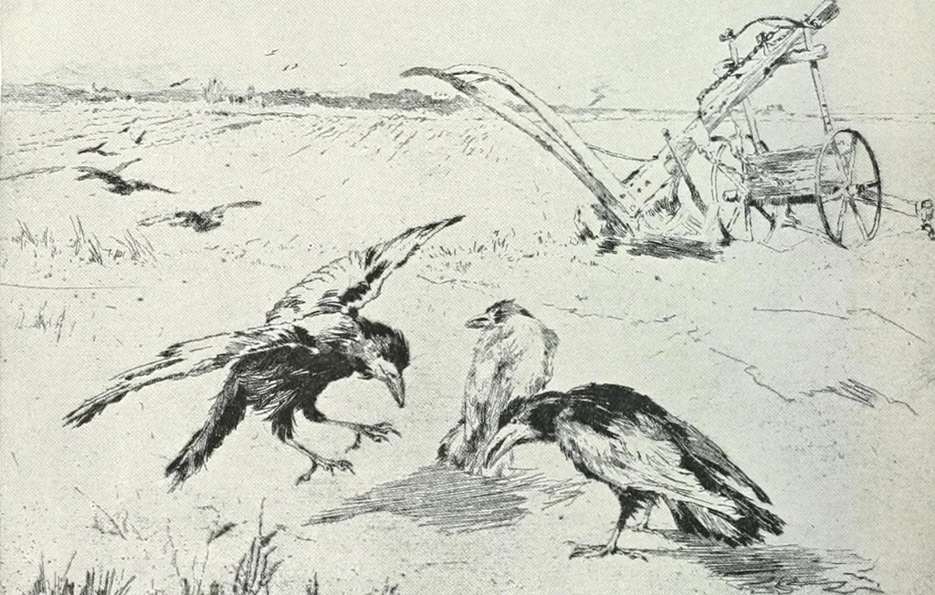 An illustration from Studio international, 1893, leaf 863