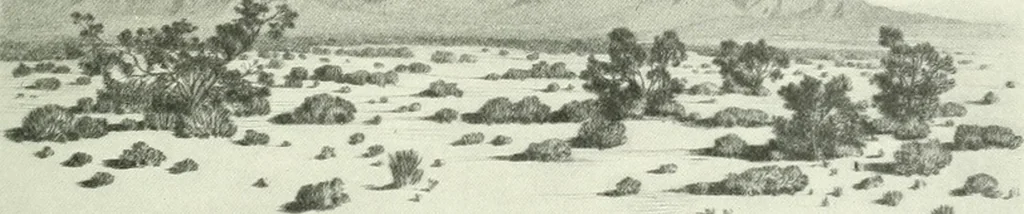 An illustration from Studio international, 1893, leaf 162