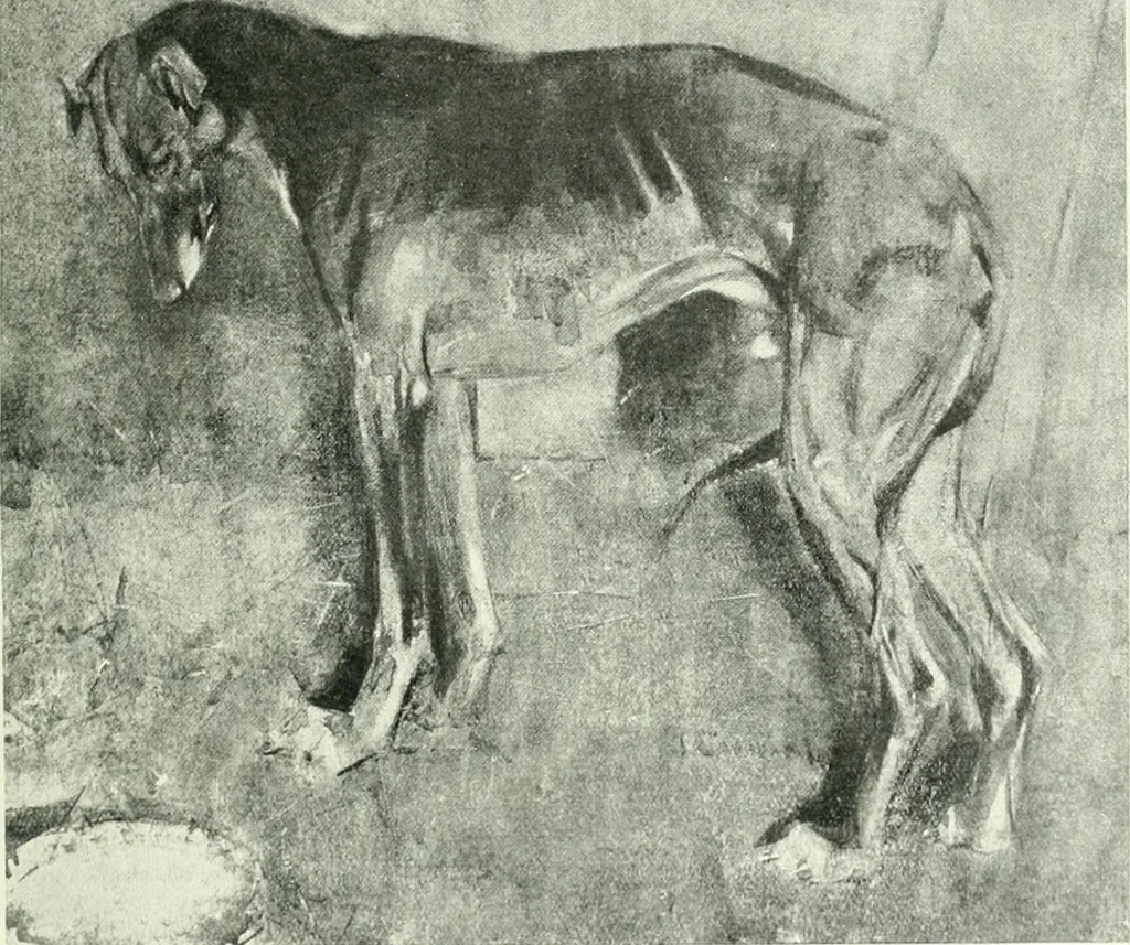 An illustration from Studio international, 1893, leaf 198