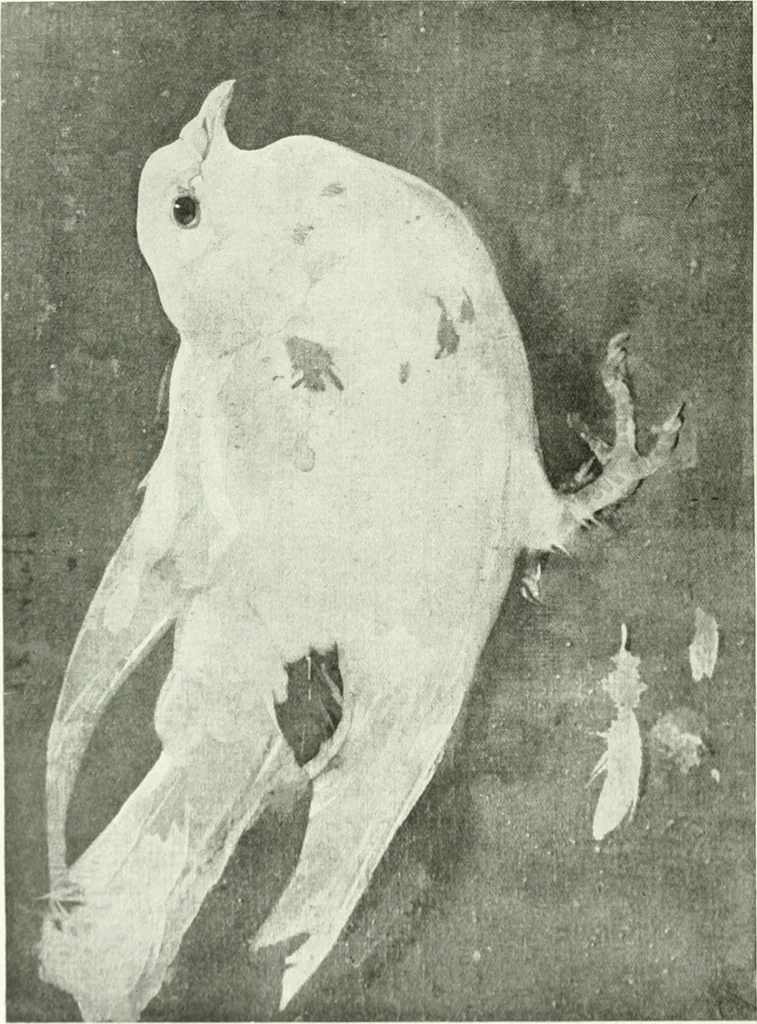 An illustration from Studio international, 1893, leaf 199