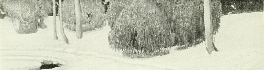 An illustration from Studio international, 1893, leaf 245