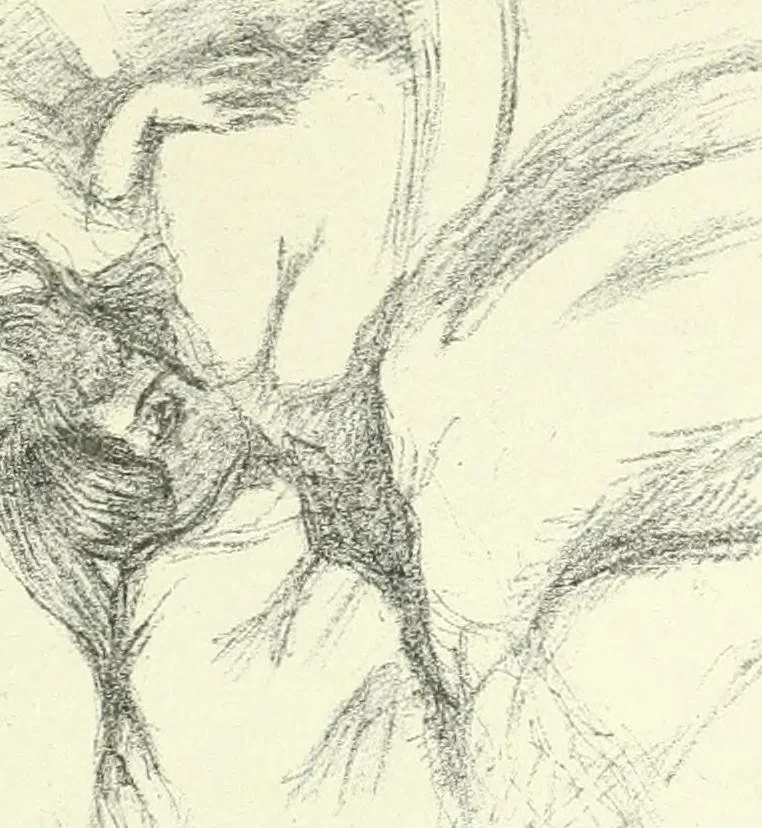 An illustration from Studio international, 1893, leaf 294