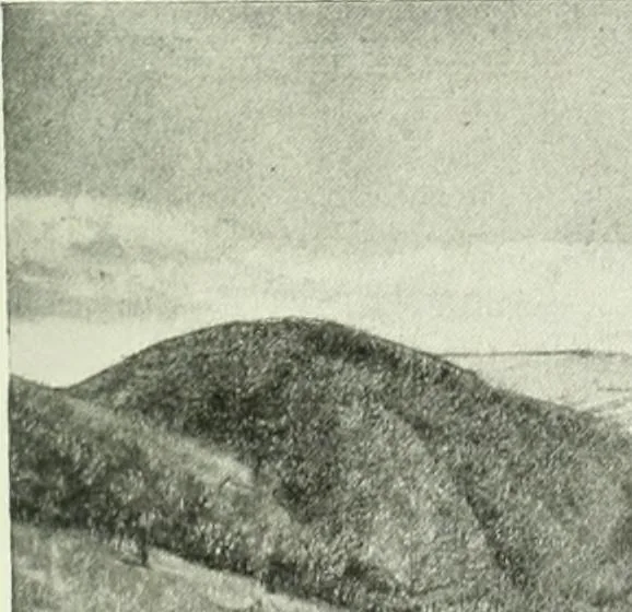 An illustration from Studio international, 1893, leaf 64