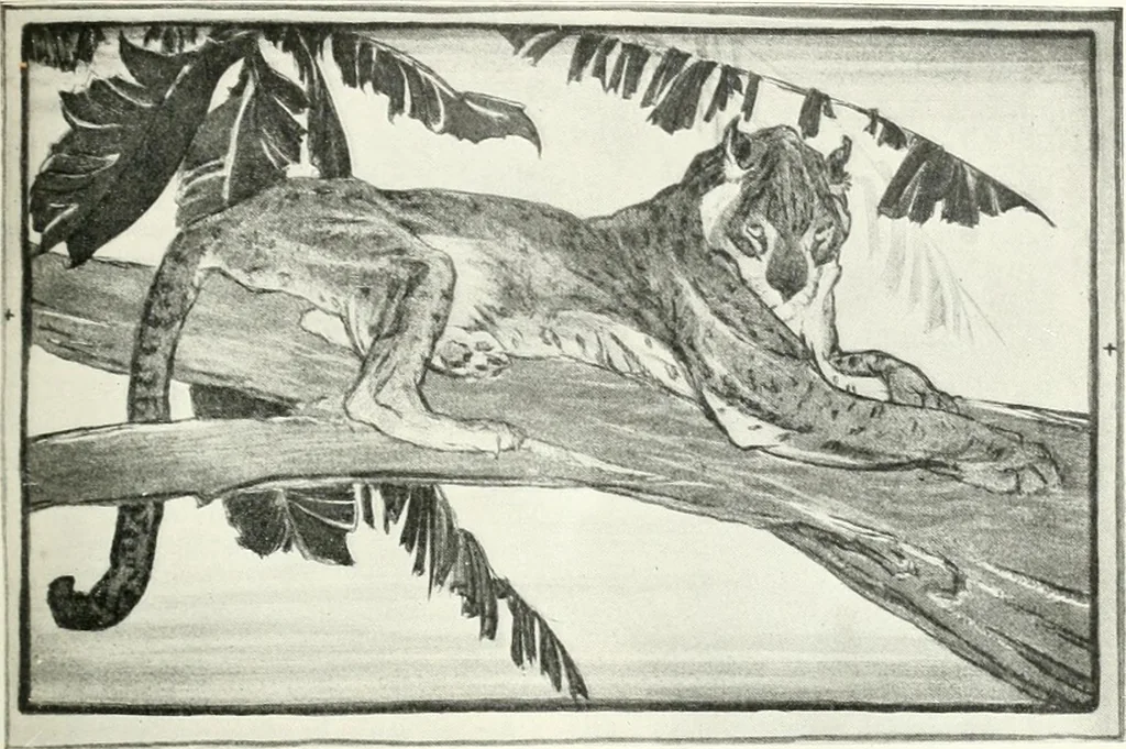 An illustration from Studio international, 1893, leaf 154
