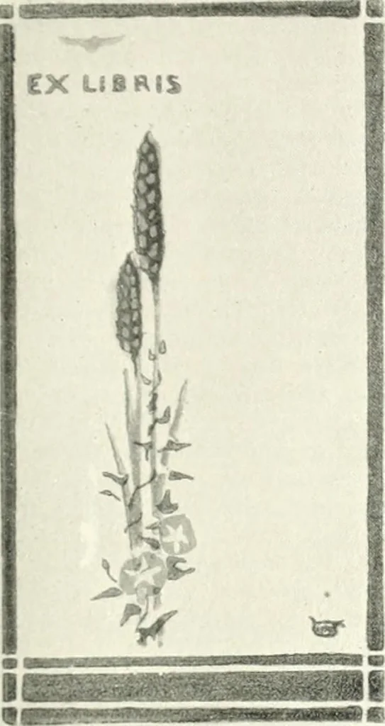 An illustration from Studio international, 1893, leaf 274
