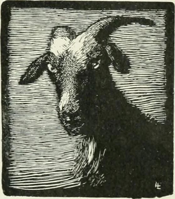 An illustration from Studio international, 1893, leaf 391