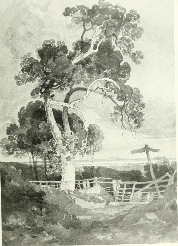 An illustration from Studio international, 1893, leaf 84