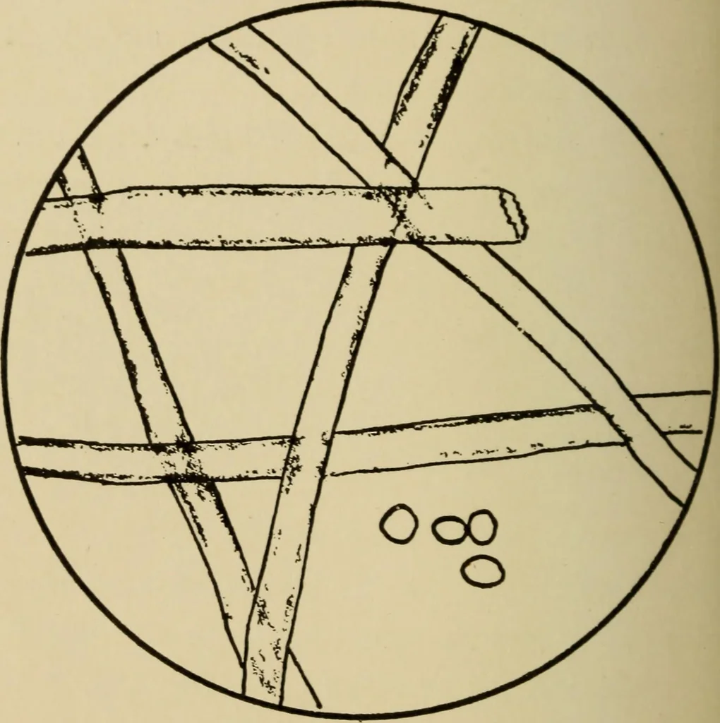 An illustration from Study of fabrics, 1918, leaf 101