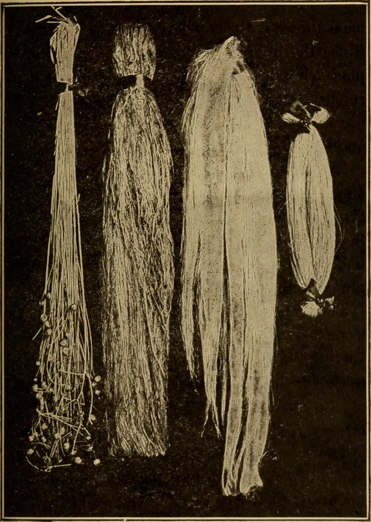 An illustration from Study of fabrics, 1918, leaf 104