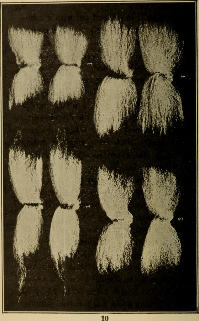 An illustration from Study of fabrics, 1918, leaf 23