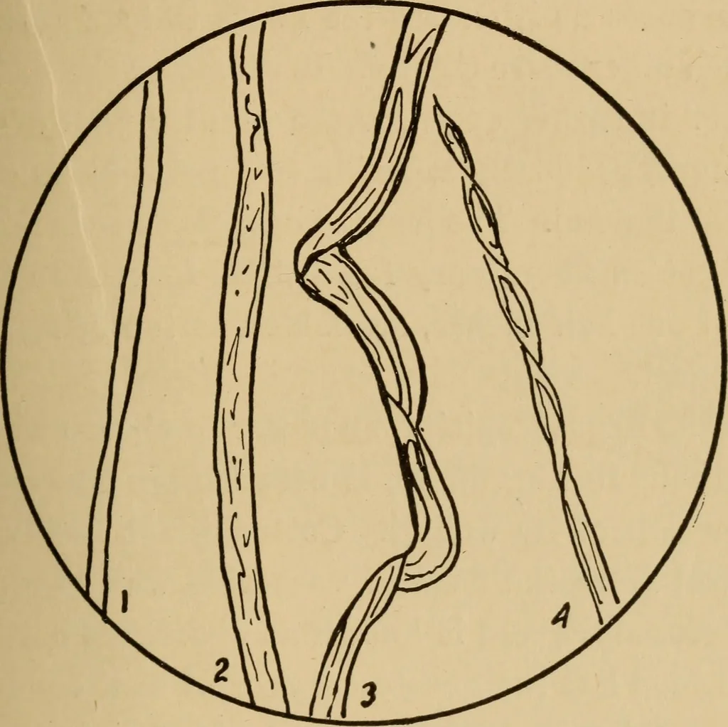 An illustration from Study of fabrics, 1918, leaf 26