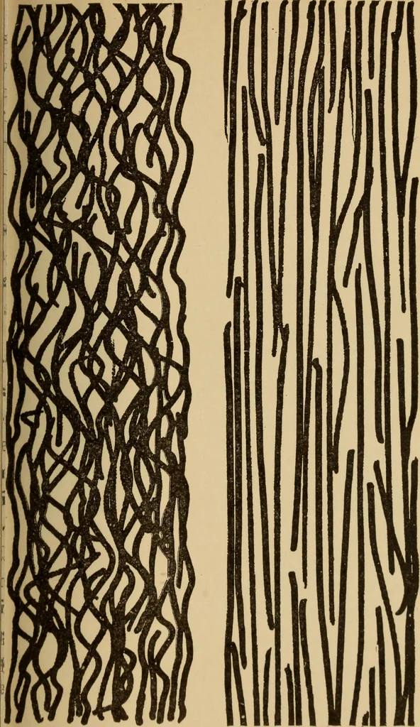 An illustration from Study of fabrics, 1918, leaf 54