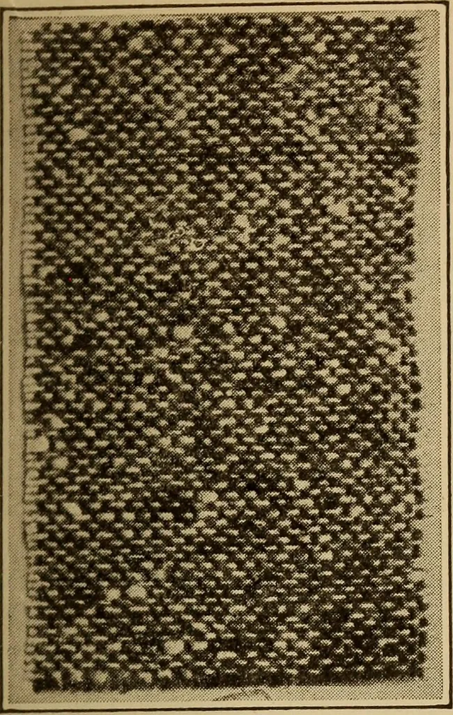 An illustration from Study of fabrics, 1918, leaf 58