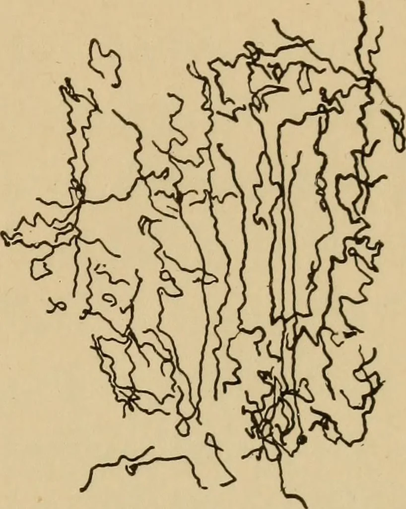 An illustration from Study of fabrics, 1918, leaf 58