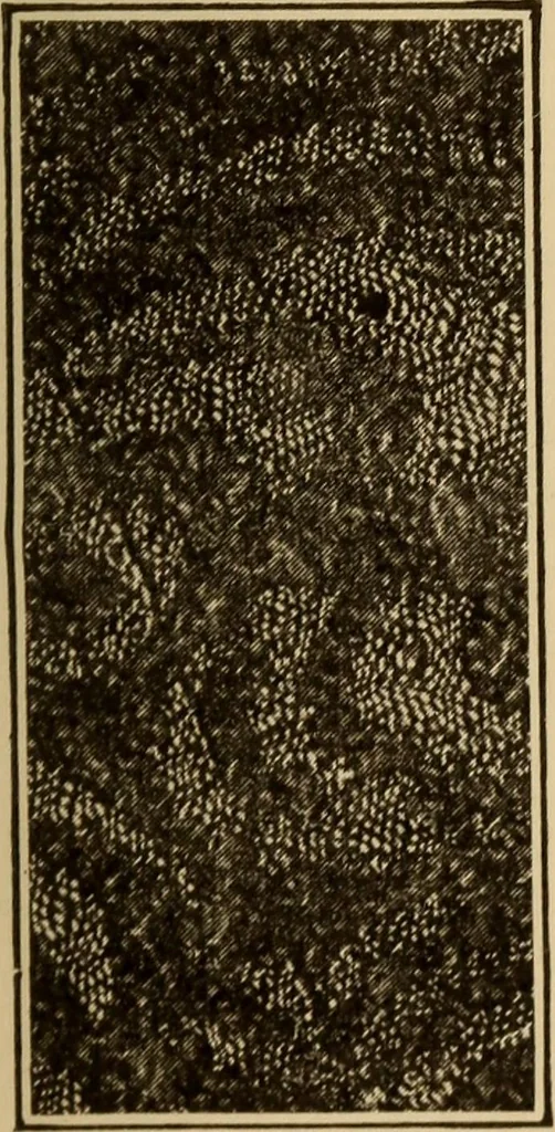 An illustration from Study of fabrics, 1918, leaf 72