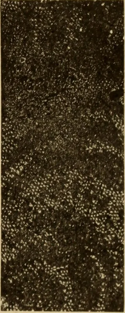 An illustration from Study of fabrics, 1918, leaf 72