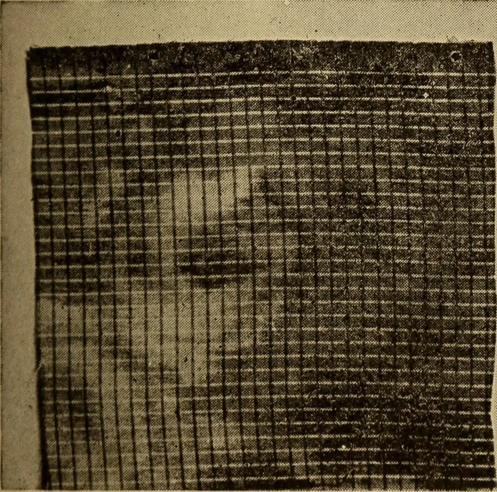 An illustration from Study of fabrics, 1918, leaf 96